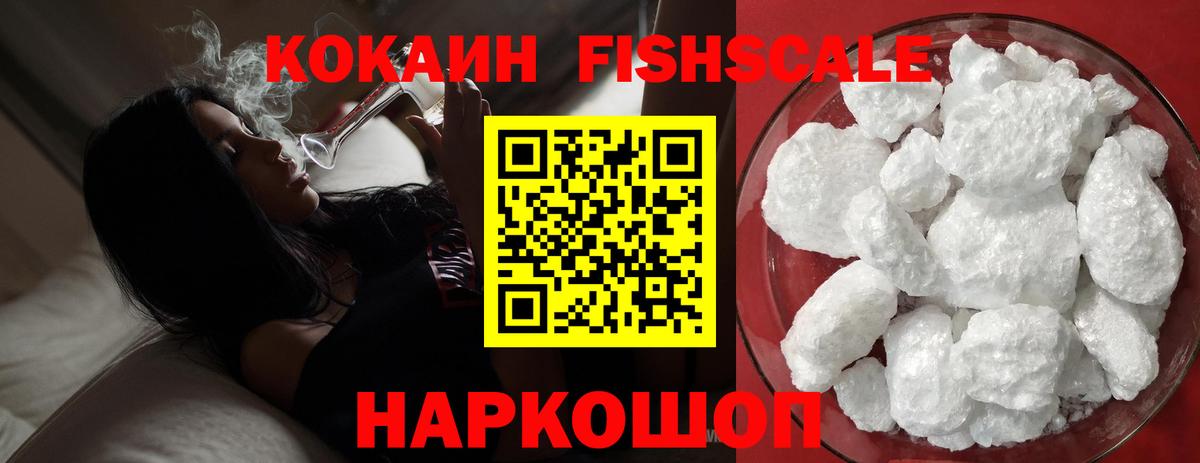 где найти наркотики  COCAIN  Новодвинск  Вход с VPN  Cocaine Fish Scale 